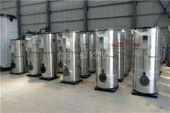  0.1吨液化气热水开云电子球赛中国有限公司