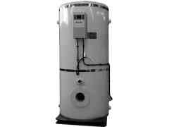  4吨低氮天然气开云电子球赛中国有限公司