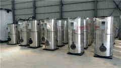  6吨燃气开云电子球赛中国有限公司