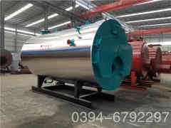  10吨低氮蒸汽开云电子球赛中国有限公司