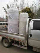  四吨液化气热水开云电子球赛中国有限公司