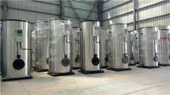  8吨冷凝热水开云电子球赛中国有限公司