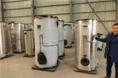  0.1吨低氮热水开云电子球赛中国有限公司