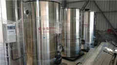  3吨柴油蒸汽开云电子球赛中国有限公司