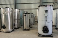 12吨冷凝燃油开云电子球赛中国有限公司