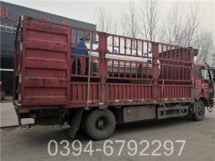 3吨燃气开云电子球赛中国有限公司价格查询