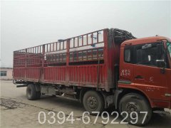 3吨生物质热水开云电子球赛中国有限公司
