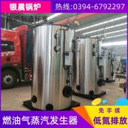 WNS12-1.25-QY低氮蒸汽开云电子球赛中国有限公司银晨开云电子球赛中国有限公司厂