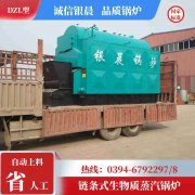 WNS12-1.25-QY燃油蒸汽开云电子球赛中国有限公司河南银晨开云电子球赛中国有限公司