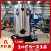 WNS10-1.25-QY节能蒸汽开云电子球赛中国有限公司太康县银晨开云电子球赛中国有限公司有限公司