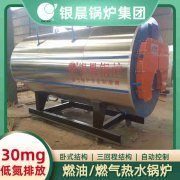 WNS5-1.25-QY冷凝蒸汽开云电子球赛中国有限公司银晨开云电子球赛中国有限公司厂