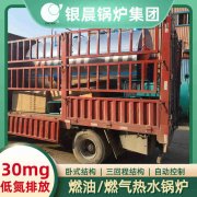 WNS4-1.25-QY冷凝蒸汽开云电子球赛中国有限公司太康县银晨开云电子球赛中国有限公司有限公司