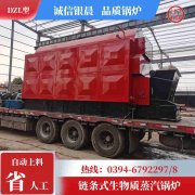 WNS1-1.0-QY节能蒸汽开云电子球赛中国有限公司太康银晨开云电子球赛中国有限公司