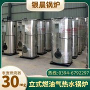 WNS0.7-1.0-QY冷凝蒸汽开云电子球赛中国有限公司银晨开云电子球赛中国有限公司公司