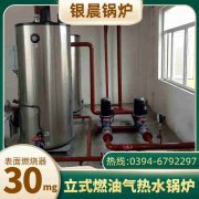 4吨燃气开云电子球赛中国有限公司价格
