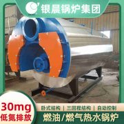 20吨燃气开云电子球赛中国有限公司价格