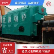 12吨低氮冷凝开云电子球赛中国有限公司