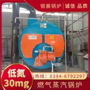 10吨低氮冷凝开云电子球赛中国有限公司