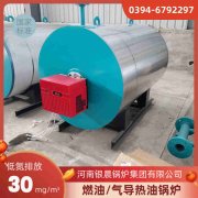 15吨生物质开云电子球赛中国有限公司