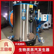 新型生物质开云电子球赛中国有限公司