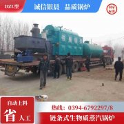 生物质开云电子球赛中国有限公司哪家好