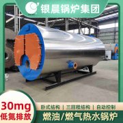 0.3吨燃气热水开云电子球赛中国有限公司