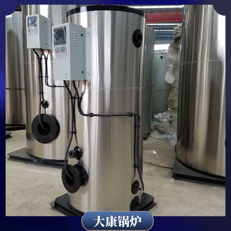 3吨燃生物质开云电子球赛中国有限公司