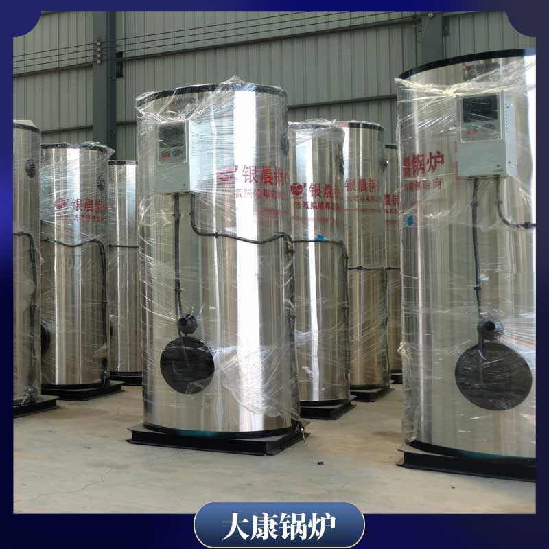 生物质开云电子球赛中国有限公司3吨