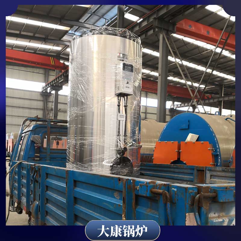 两用两吨生物质开云电子球赛中国有限公司