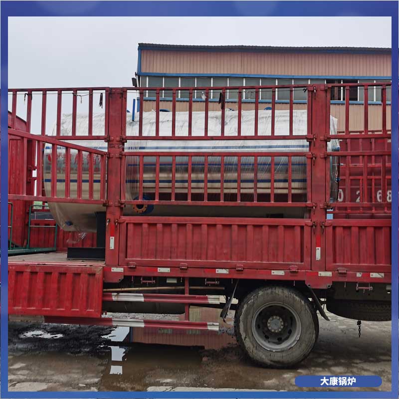 10t生物质开云电子球赛中国有限公司