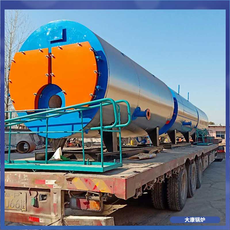 生物质开云电子球赛中国有限公司6吨