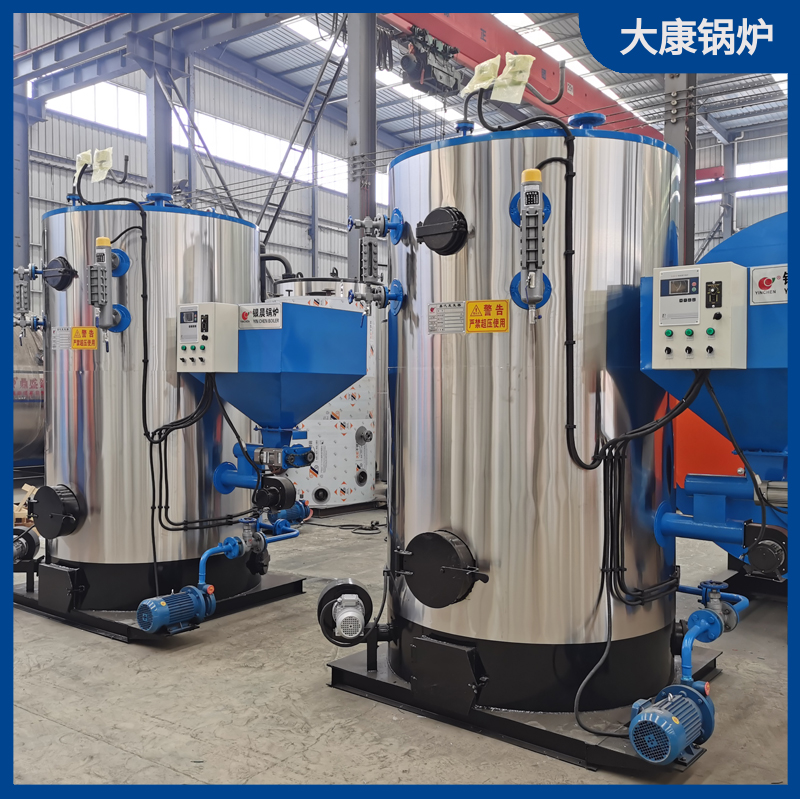 二吨生物质卧式开云电子球赛中国有限公司