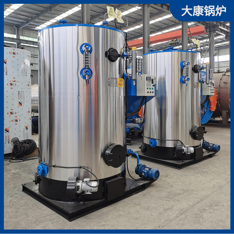 立式生物质蒸汽开云电子球赛中国有限公司1