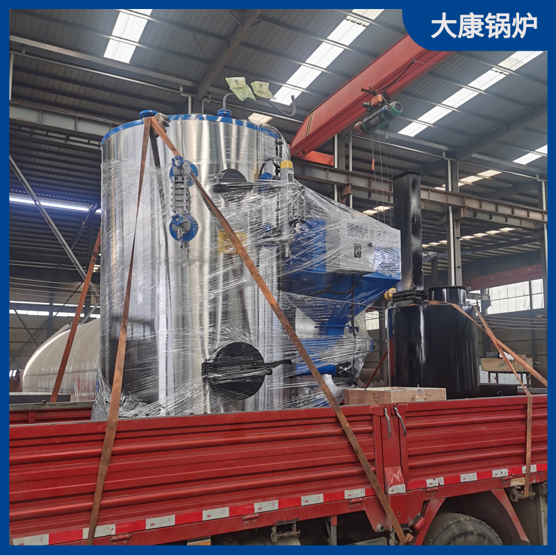 5吨生物质开云电子球赛中国有限公司