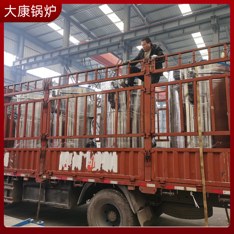 生物质开云电子球赛中国有限公司15吨