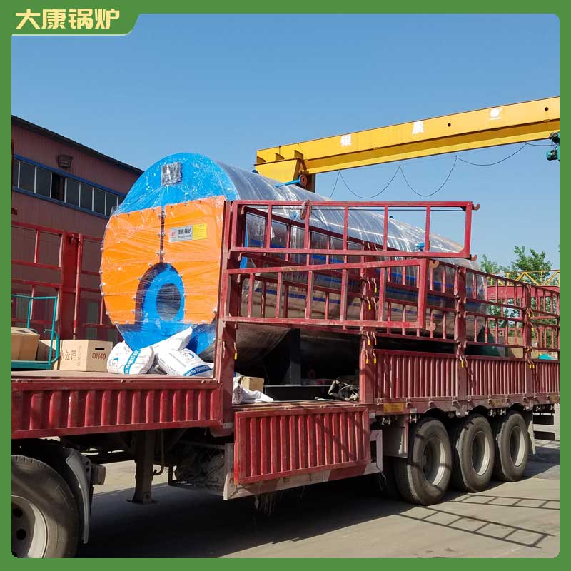 1t生物质开云电子球赛中国有限公司