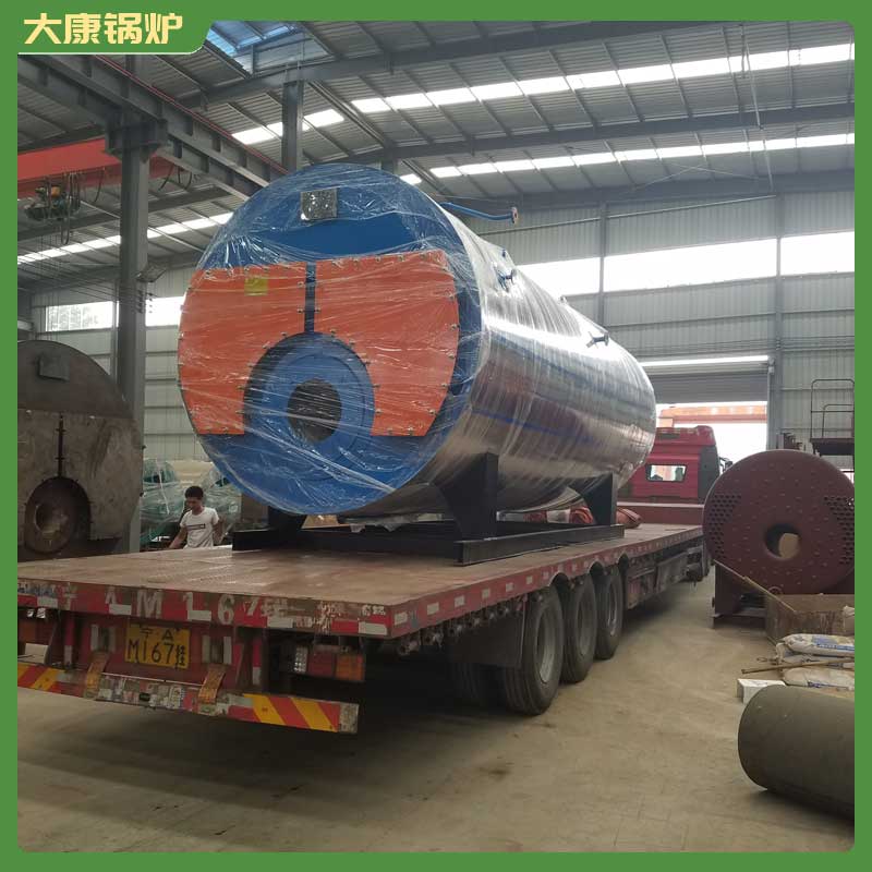 4吨燃生物质开云电子球赛中国有限公司