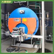 山东YYQW-350蒸汽开云电子球赛中国有限公司