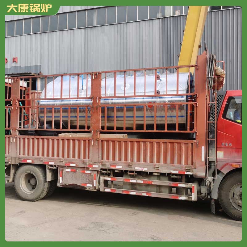 3吨燃生物质开云电子球赛中国有限公司