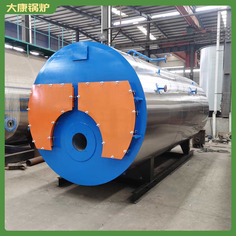 6吨自动生物质开云电子球赛中国有限公司