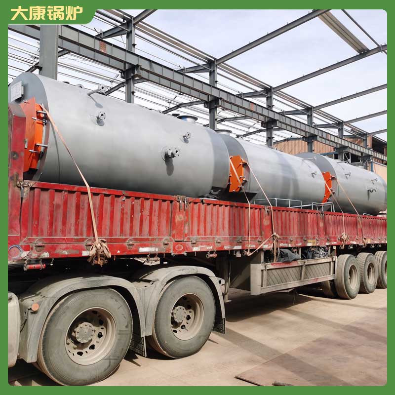 1t/h生物质开云电子球赛中国有限公司