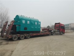 4吨链条生物质蒸汽开云电子球赛中国有限公司