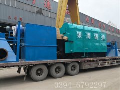 2吨链条生物质蒸汽开云电子球赛中国有限公司